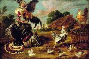 Paul de Vos, The fight between a turkey and a rooster.
